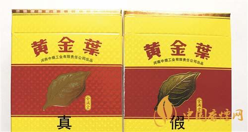 如何辨別黃金葉金滿堂真假？2020黃金葉真假辨別詳情對比