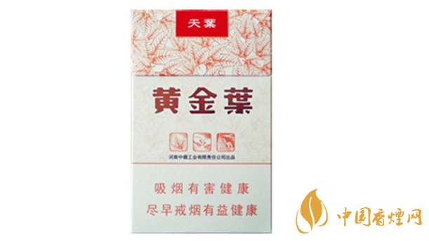 黃金葉天葉真?zhèn)卧趺幢鎰e？天葉真假如何看？