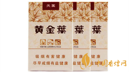 2020黃金葉天葉怎么樣？黃金葉大小天葉有什么不同