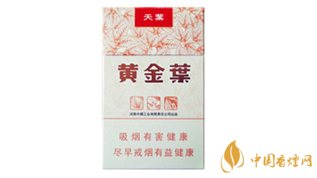 黃金葉天葉真假怎樣區(qū)分？黃金葉天葉真假識(shí)別