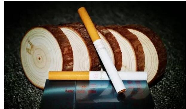 黃鶴樓游泳回歸，爺爺輩最喜愛的香煙品牌