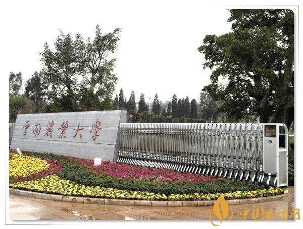 煙草專業(yè)大學(xué)排名，煙草專業(yè)就業(yè)前景好