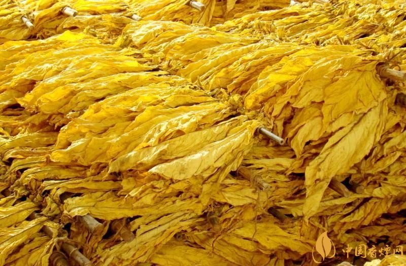 朱砂煙到底是什么煙，云煙朱砂煙有哪幾款