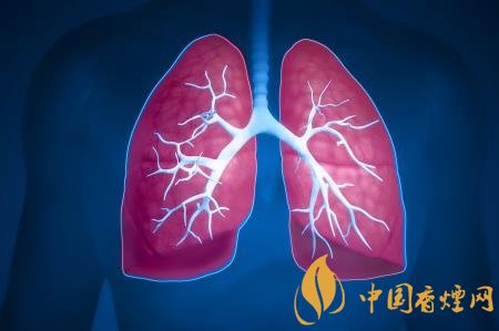 肺部不舒服其實是吸煙所致 想要清肺需先戒煙！